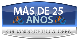 Servicio Tecnico de Calderas Madrid con experiencia de más de 25 años en cuidar tu caldera