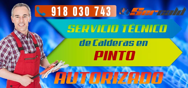 Servicio Tecnico de calderas Pinto