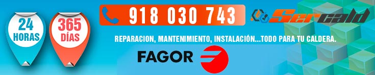 Reparacion de calderas Fagor en Madrid