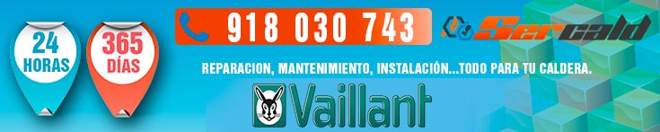 Servicio Tecnico Vaillant en Madrid