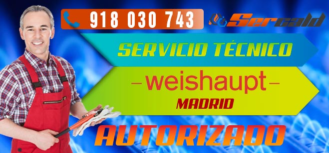 Servicio Técnico Weishaupt en Madrid